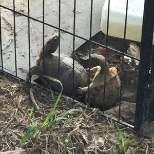 Meet your Posher, Mike